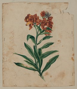 Dibujo de diseño, principios del siglo XVIII de Unknown artist