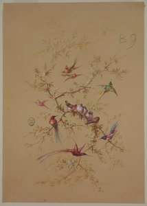 Diseño para papel tapiz y textil: Flores y pájaros