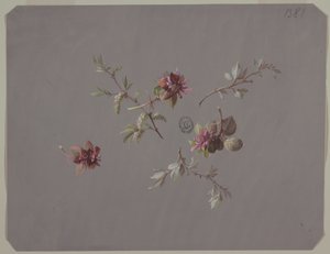 Diseño para papel tapiz y textiles: Flores de Unknown artist