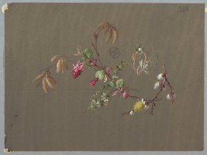 Diseños para papel tapiz y textiles: Flores de Unknown artist
