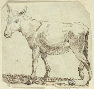Burro de Unknown artist