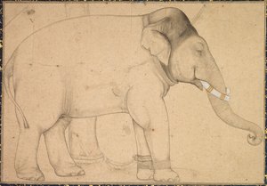 Drawing of an Elephant