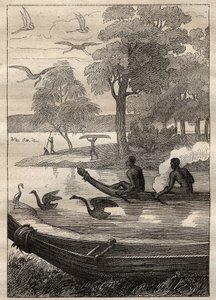 Expedición de Antoine Bruny de Unknown artist