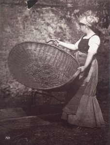 [Campesina con cesta de aventar] de Unknown artist