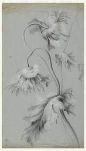 Diseño floral de Unknown artist