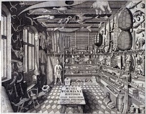 Frontispicio de “Musei Wormiani Historia” mostrando el interior del gabinete de curiosidades de Ole Worm o Olaus Wormius de Unknown artist
