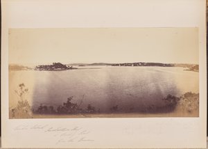Garden Island, Rushcutters Bay y Darling Point desde el Dominio de Unknown artist
