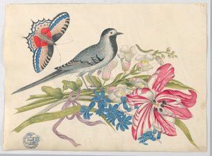 Pájaro gris en rama con tulipán, dragones y nomeolvides con mariposa