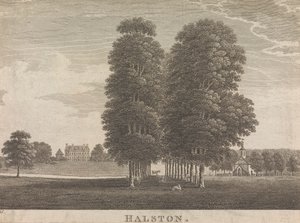 Halston; página 22 (Volumen Dos) de Unknown artist