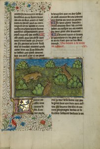Hares