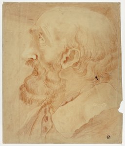 Cabeza de hombre barbudo de perfil de Unknown artist
