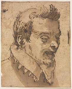 Cabeza de un hombre de Unknown artist