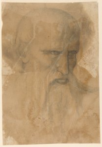 Cabeza de un anciano barbudo de Unknown artist
