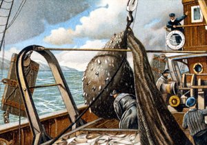 Pesca de arenques: levantando la red en el barco. Finales del siglo XIX.