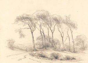 Árboles altos de Unknown artist