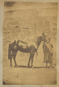 [Caballo]