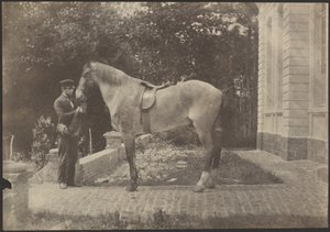 [Caballo y Hombre]