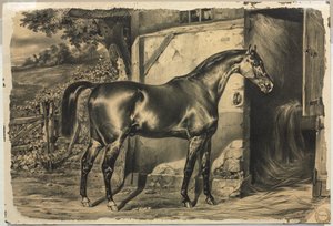 Caballo frente a un granero (reverso) de Unknown artist