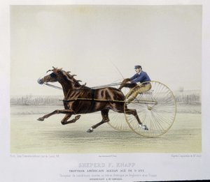 Equitación: Pastor F. Knapp, trotador - en "El Centauro"
