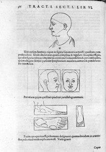 Imagen de fisionomía de "Collectio Operum" de Robert Fludd (Robertus de Fluctibus). Londres 1617. de Unknown artist