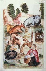 Pastores indios cuidando vacas, del libro "Trujillo del Perú" o "Códice Martínez Compañón", por Baltazar Martínez Compañón y Bujanda, obispo de Trujillo (1782-1785) de Unknown artist