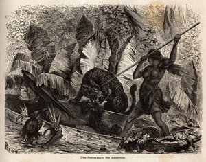 Indio ticuna (Perú) atacando con una lanza a un tigre que acaba de saltar a su canoa y herir a su compañero, los ticunas del río Nhamondas son reputados por sus esposas guerreras, por lo que los primeros viajeros y estudiosos que los observaron los llamaro de Unknown artist