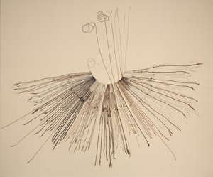 Inka Khipu (Dispositivo de grabación de fibra) de Unknown artist