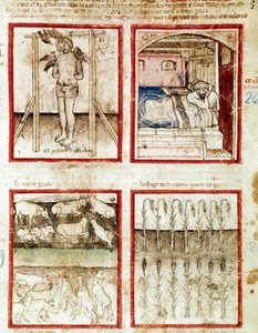 José interpreta los sueños del panadero que termina decapitado. En la parte superior derecha, el faraón sueña con las siete vacas gordas, premonición de los años de abundancia y las siete vacas flacas de los años de hambruna Miniatura tomada del códice 212
