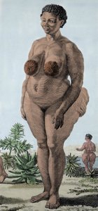 La Venus Hotentote, mujer de la raza Bochiman; grabado de 1815.