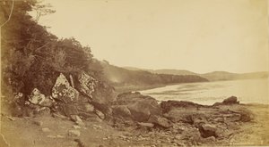 Laguna de la Isla Dawson. de Unknown artist