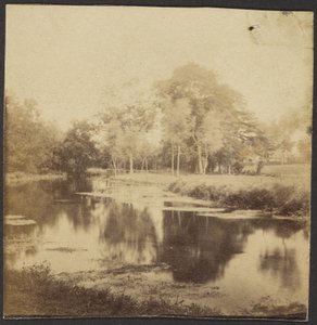 [Paisaje con estanque]