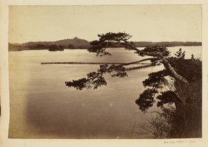 [Paisaje con lago y árboles] de Unknown artist