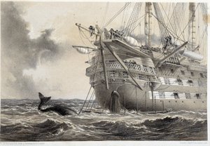 Tendido del cable telegráfico atlántico, una ballena alrededor del barco