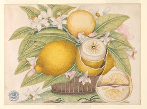 Limones y flores de limón en una canasta de Unknown artist