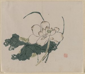 Flor de loto de Unknown artist