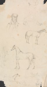 El hombre, los caballos y los perros