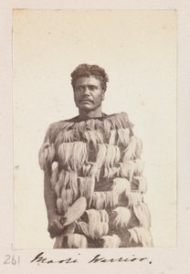 Guerrero maorí, c.1876 (foto b/n) de Unknown artist