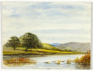 Paisaje pantanoso de Unknown artist
