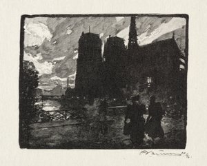 Notre Dame, la Tarde