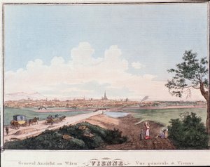 Vista de la ciudad de Viena con puente cruzando el Danubio. Austria de Unknown artist