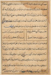 Página de Cuentos de un loro (Tuti-nama): página de texto de Unknown artist