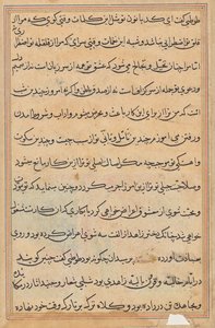 Página de Cuentos de un Loro (Tuti-nama): página de texto de Unknown artist