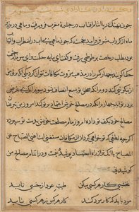 Página de Cuentos de un Loro (Tuti-nama): página de texto
