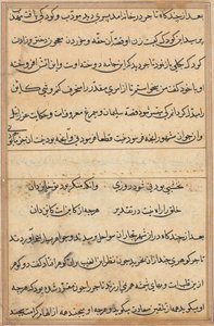 Página de Cuentos de un Loro (Tuti-nama): página de texto de Unknown artist