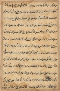 Página de Cuentos de un Loro (Tuti-nama): página de texto de Unknown artist