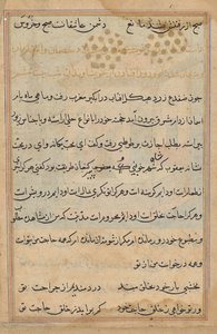 Página de Cuentos de un Loro (Tuti-nama): página de texto de Unknown artist