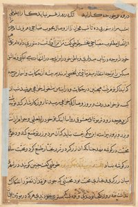 Página de Cuentos de un Loro (Tuti-nama): página de texto de Unknown artist