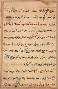 Página de Cuentos de un loro (Tuti-nama): página de texto de Unknown artist