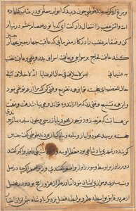 Página de Cuentos de un loro (Tuti-nama): página de texto de Unknown artist