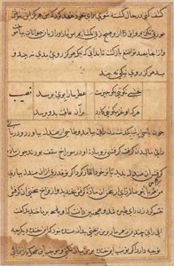 Página de Cuentos de un Loro (Tuti-nama): página de texto de Unknown artist